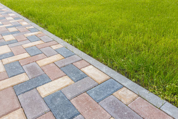 Best Commercial Driveway Pavers  in Zephyrhills North, FL